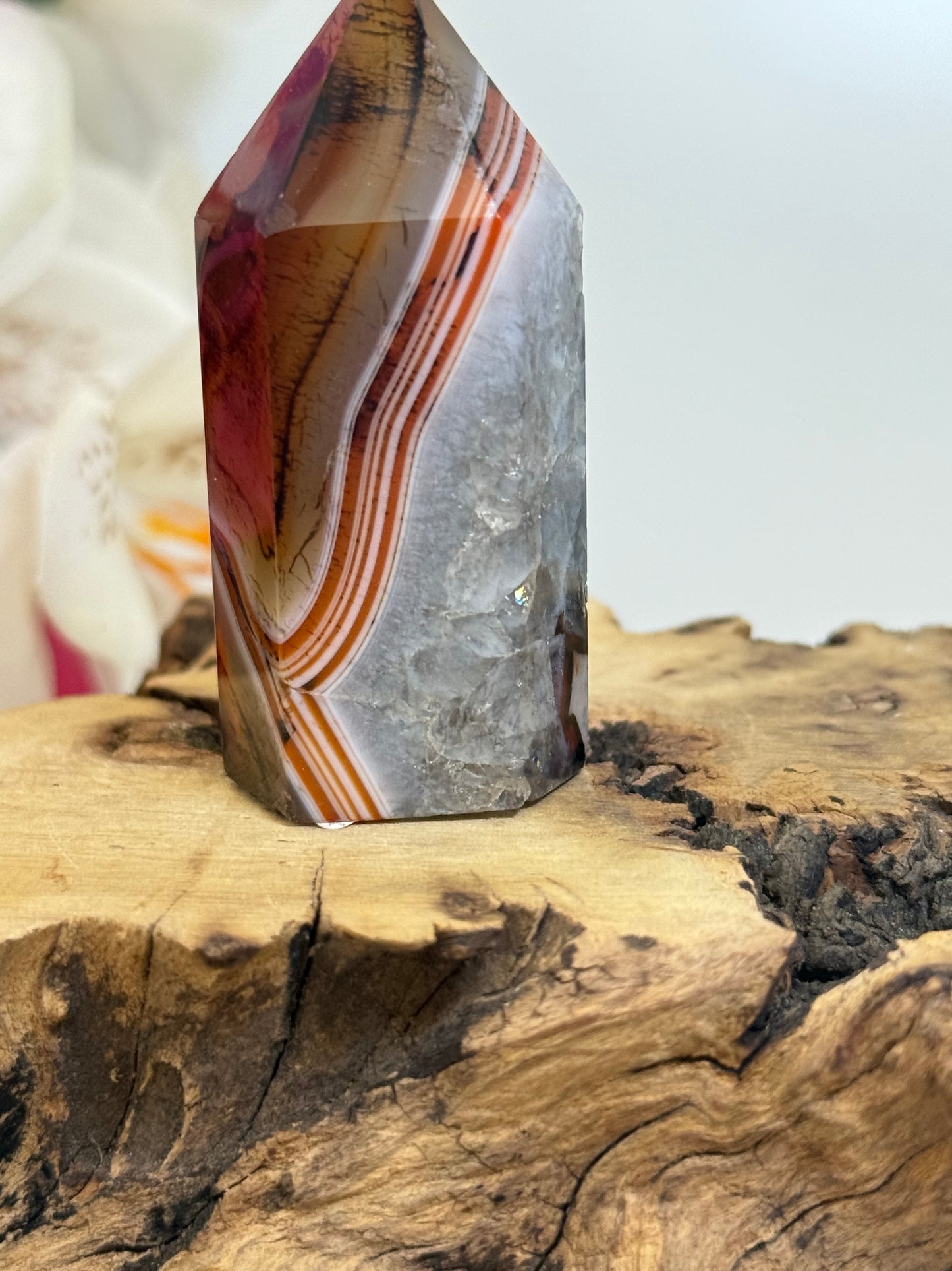 Sardonyx Point (Dyed)