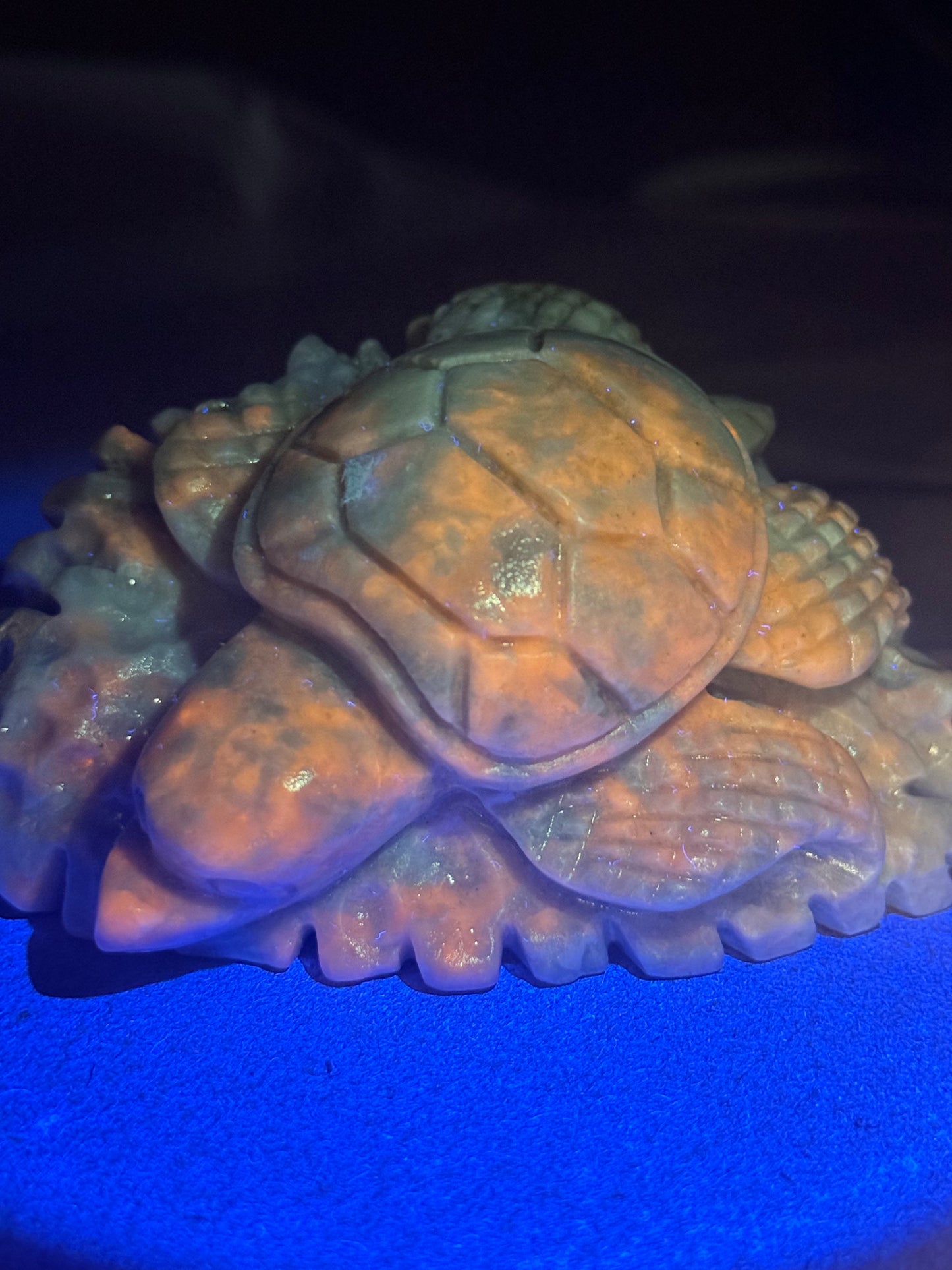 Hackmanite Turtle
