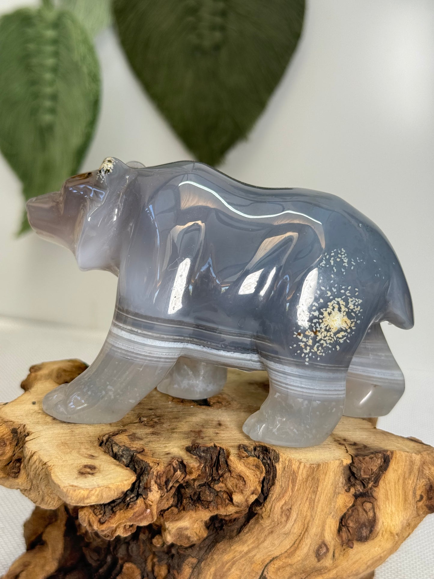 Druzy Agate Bear