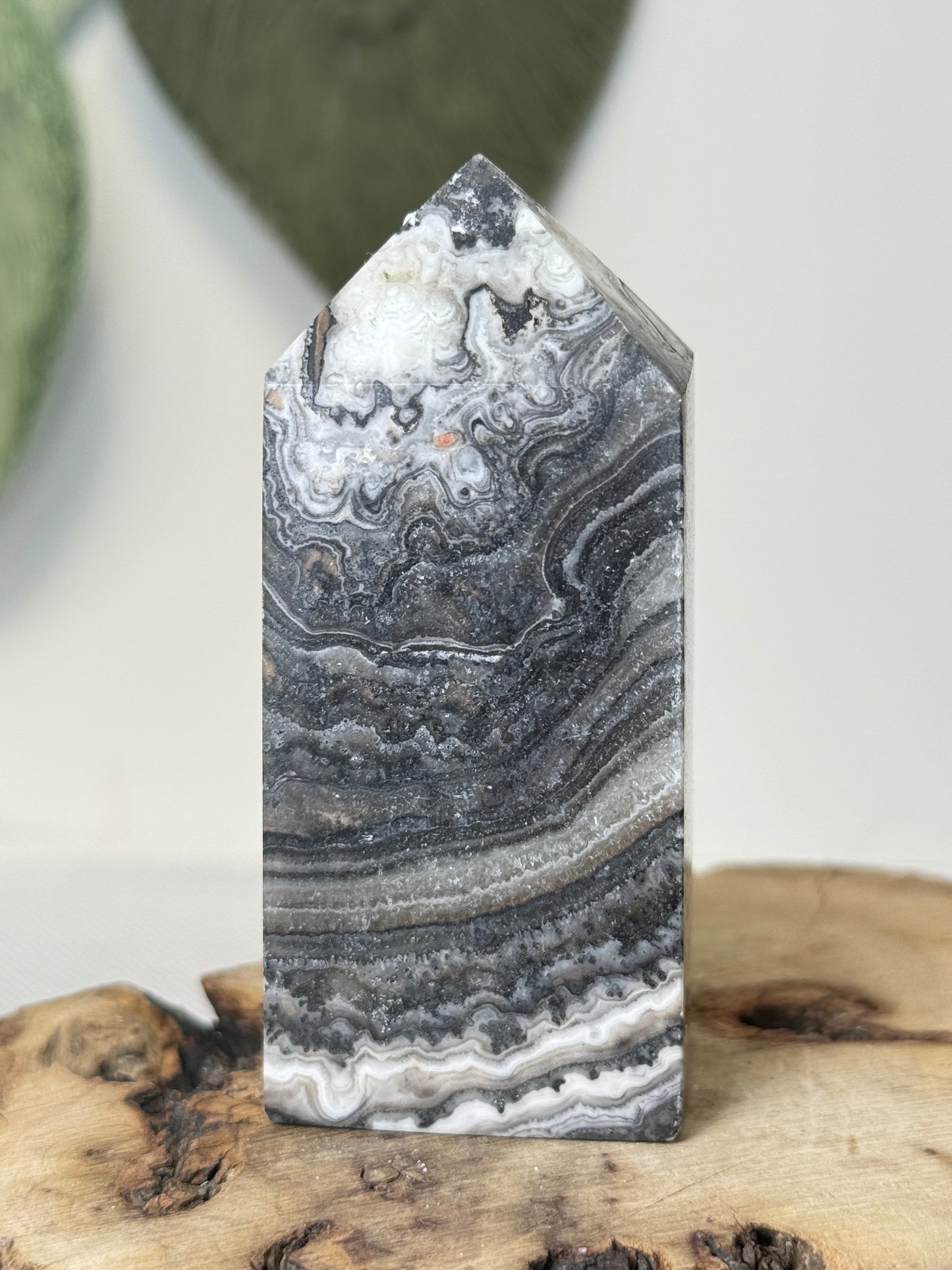 Dendritic Calcite Tower