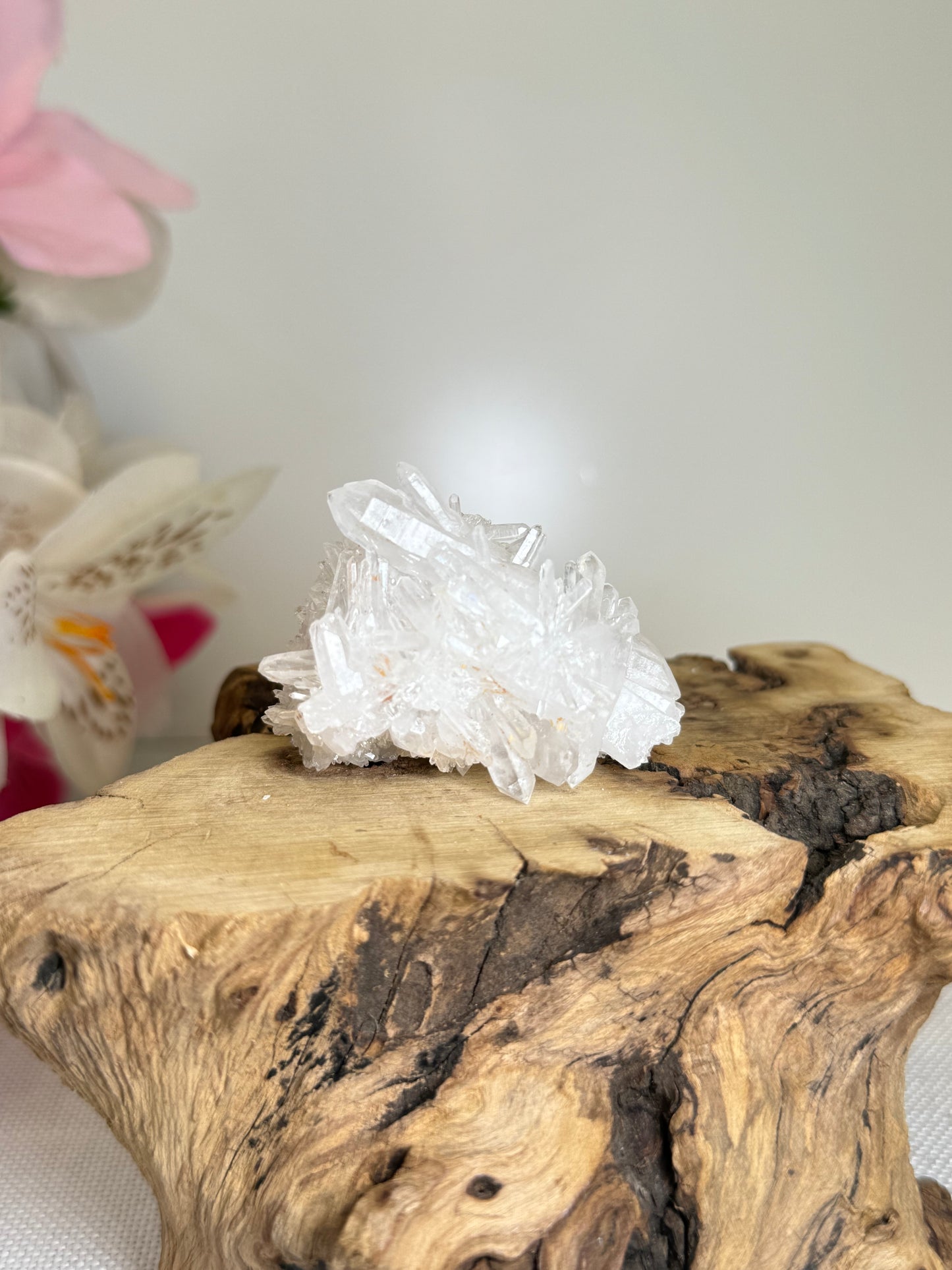 Chrysanthemum Quartz Raw