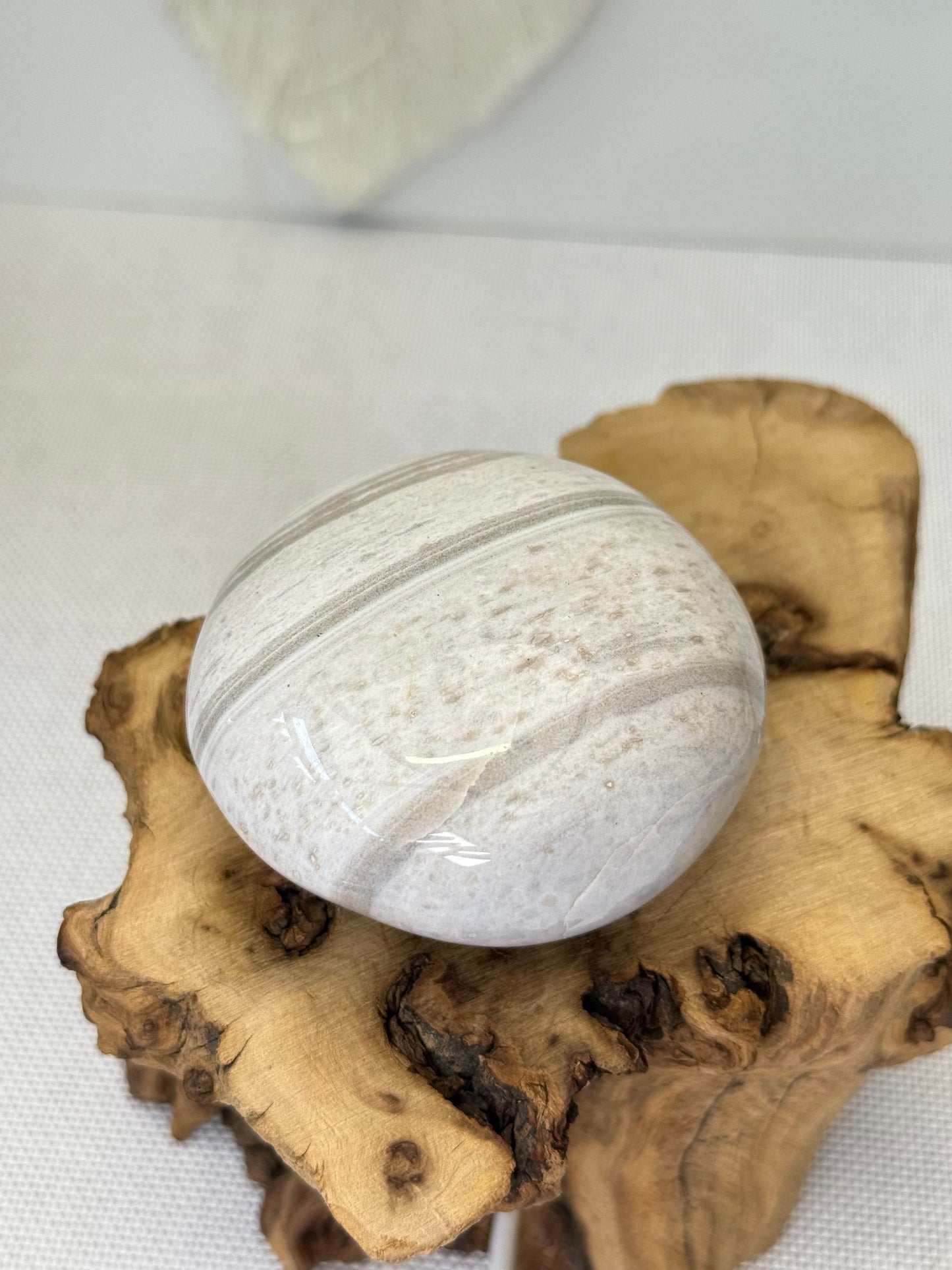 Ocean Jasper Palm Stone