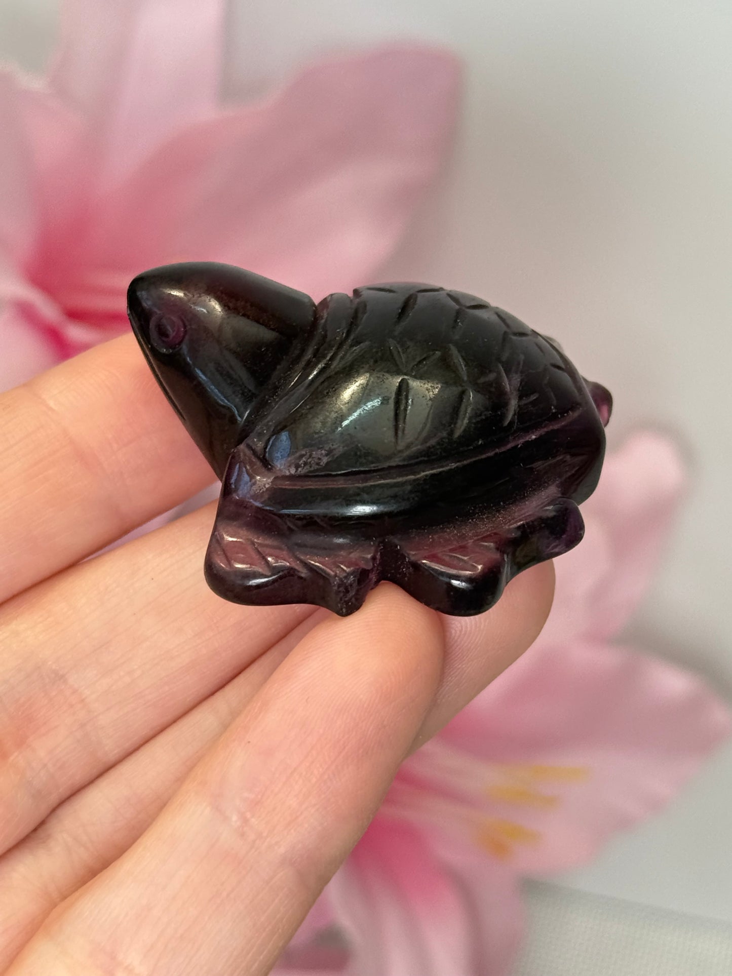 Fluorite Turtle (Minor Damage)