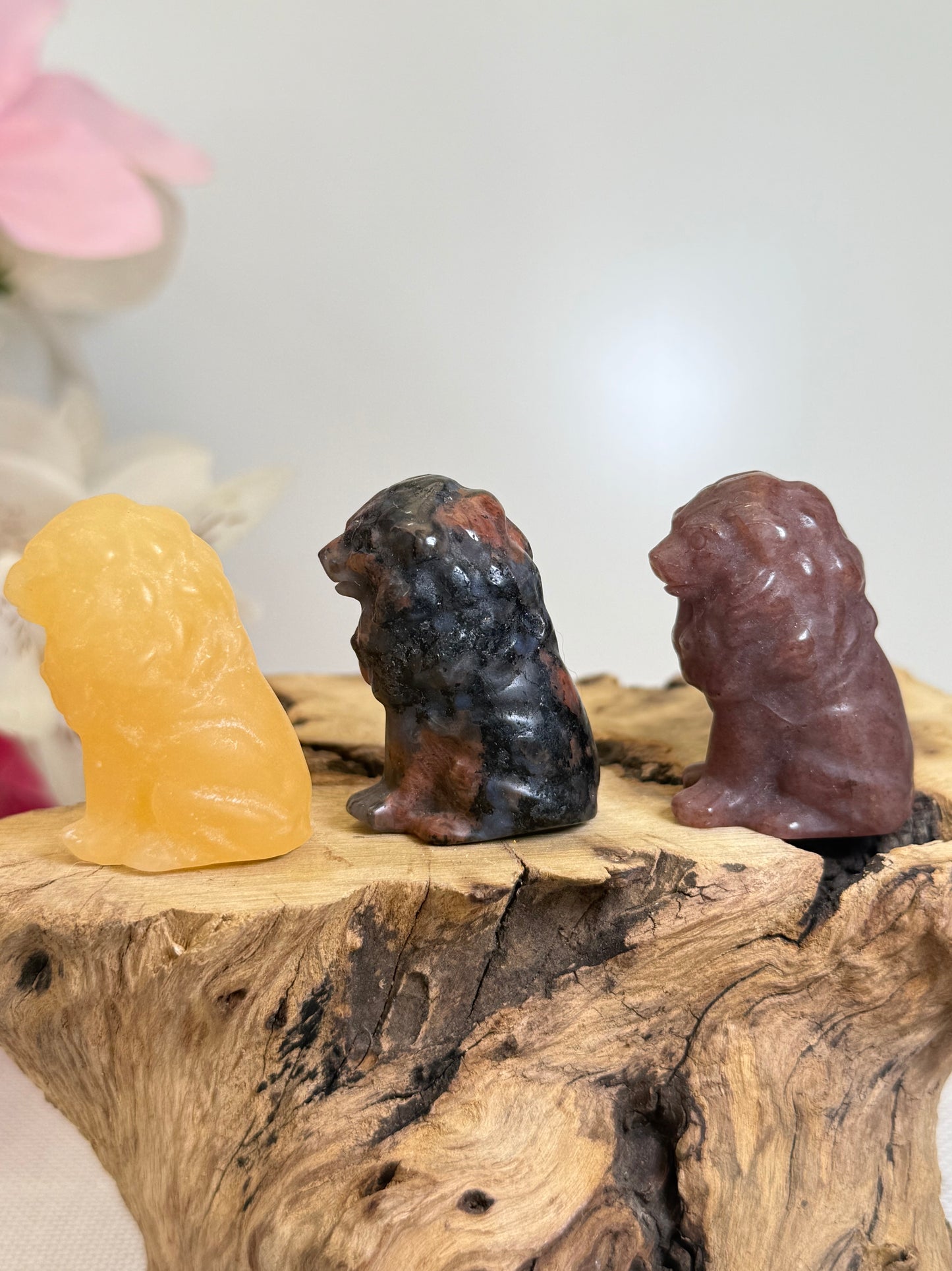 Lion Carvings