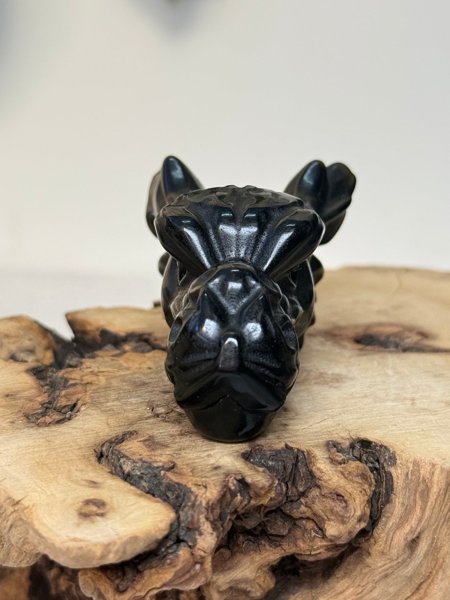 Black Obsidian Dragon