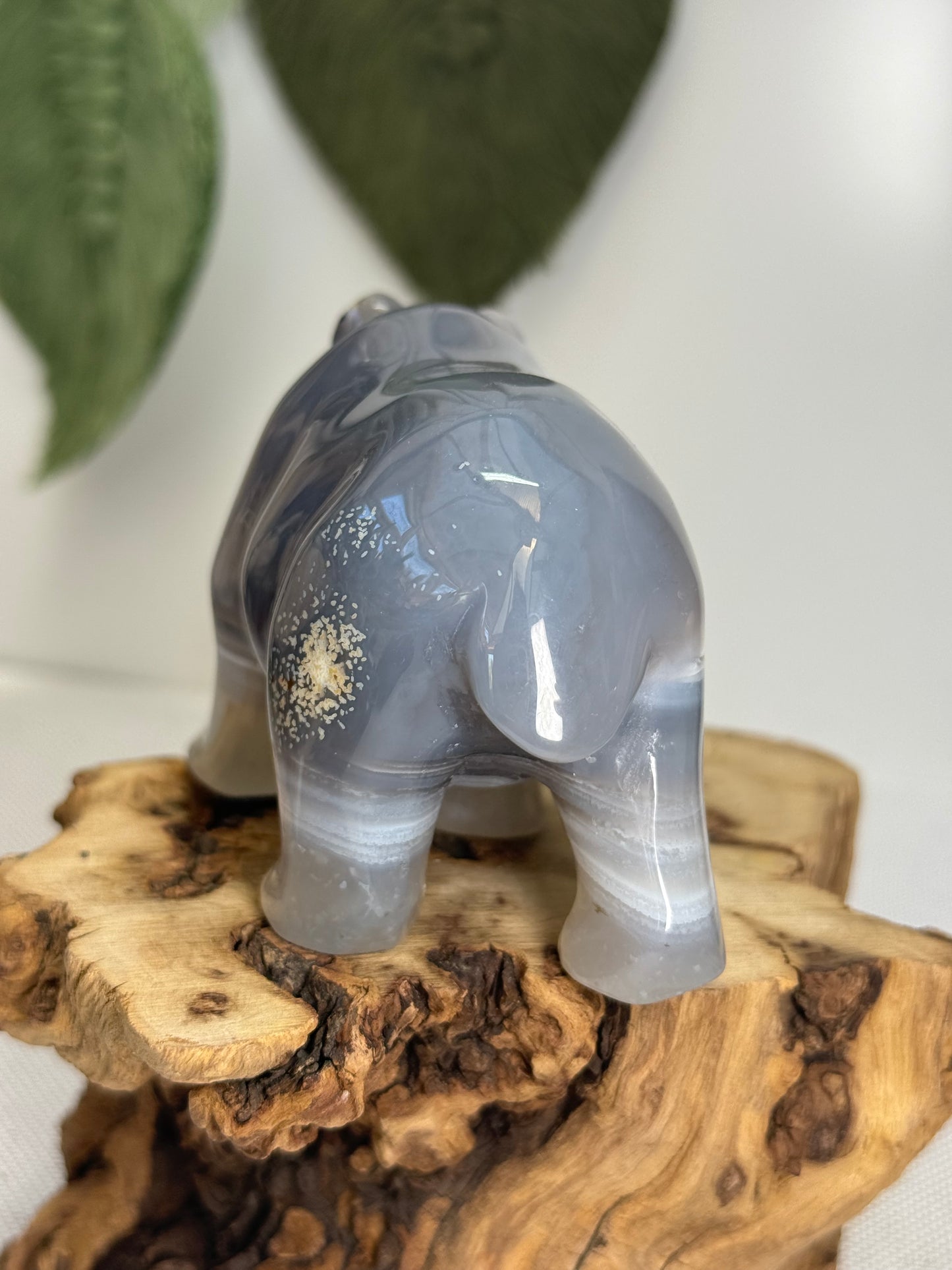 Druzy Agate Bear