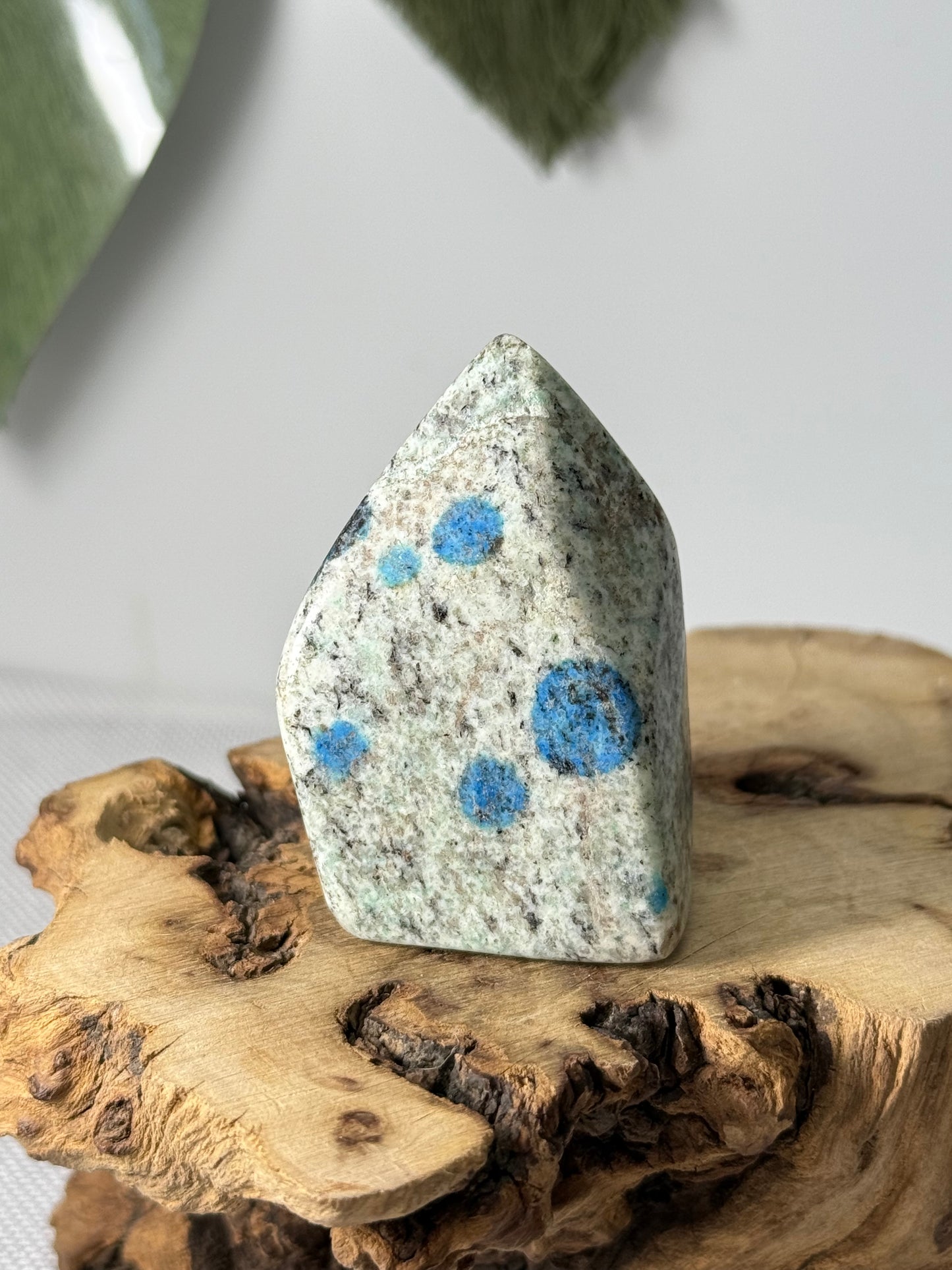K2 Jasper Freeform