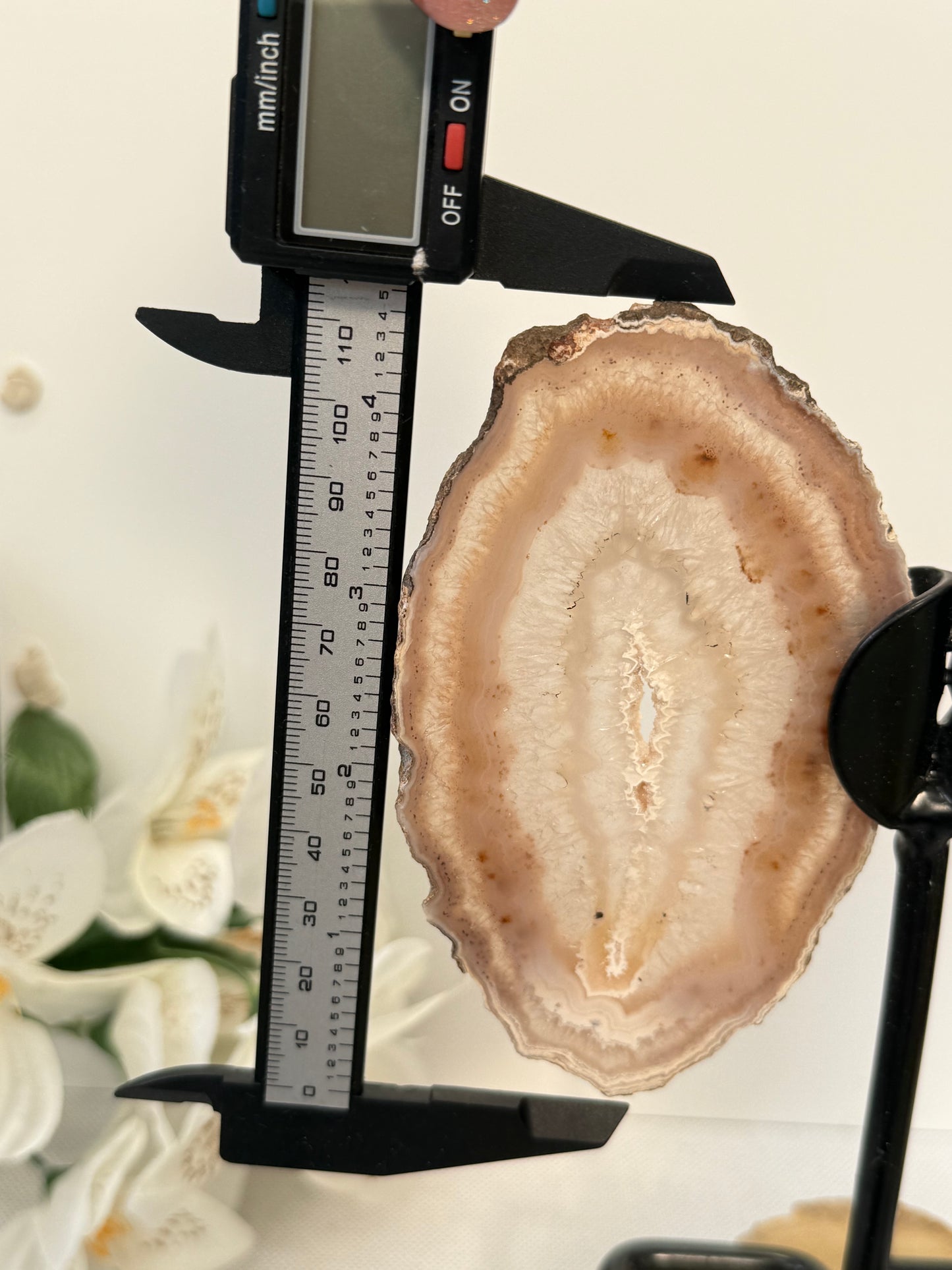 Agate Wings
