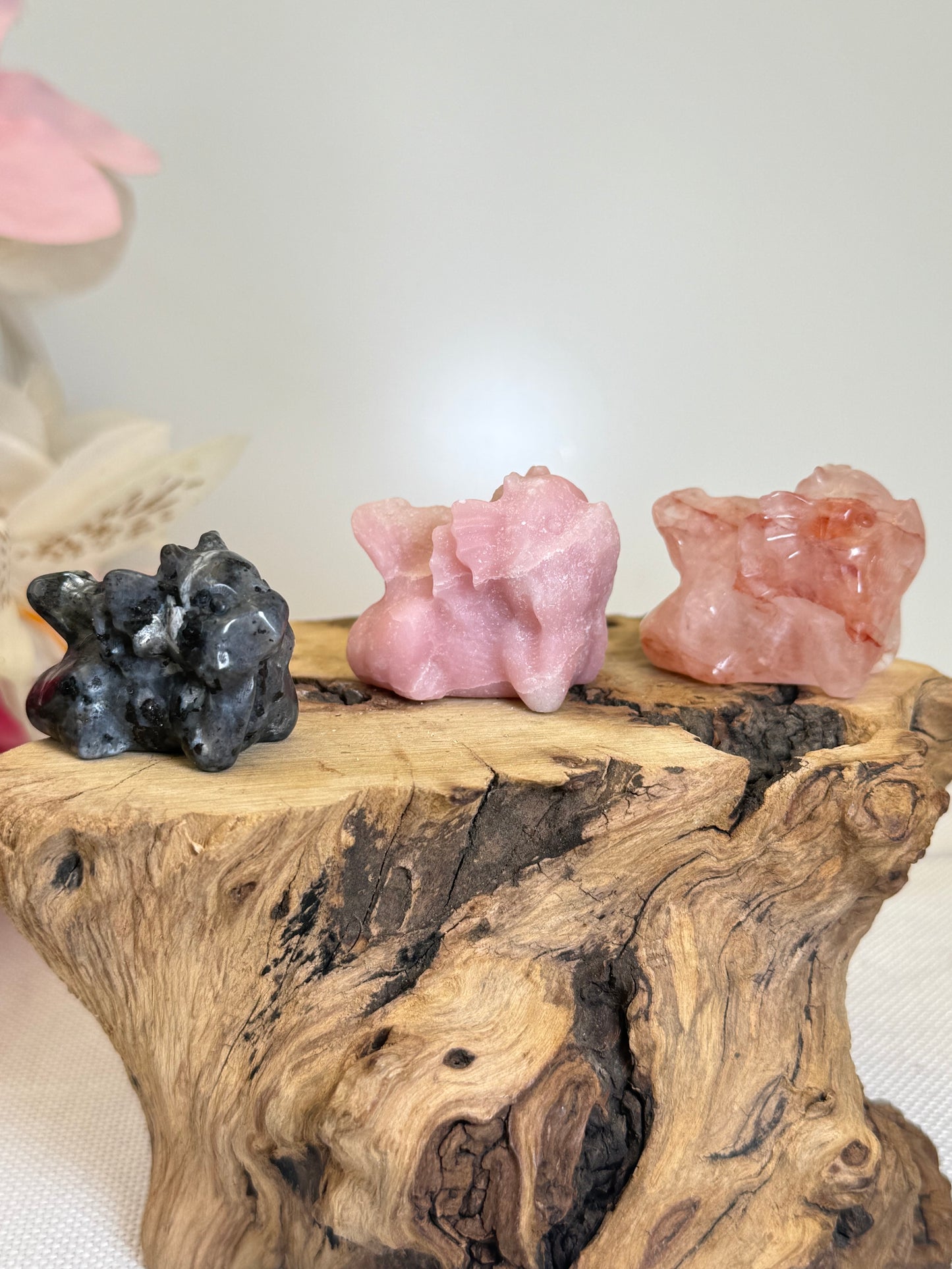 Baby Dragon Carvings