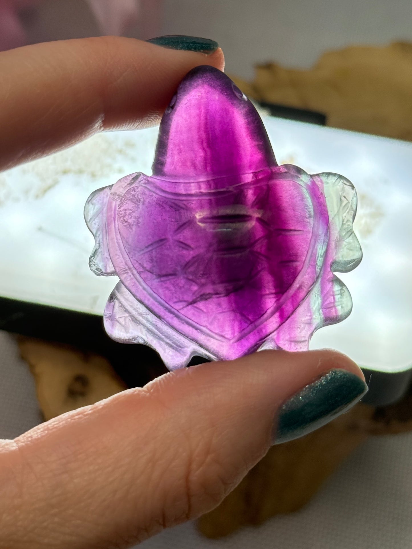 Fluorite Turtle (Minor Damage)