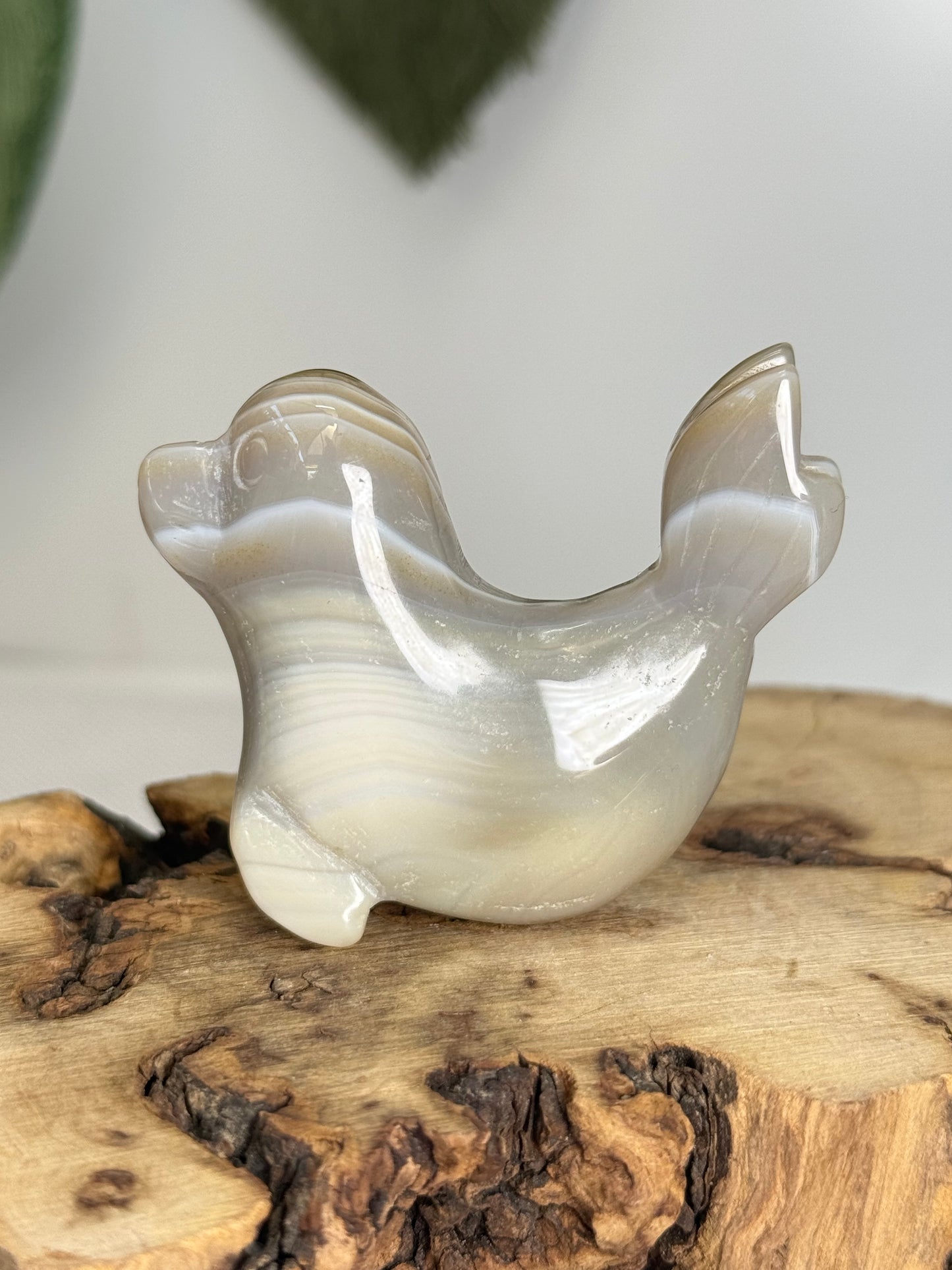 Agate Seal