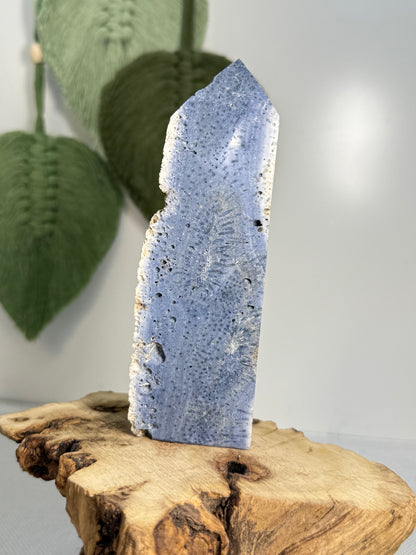Blue Coral Jasper Tower