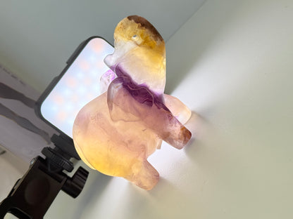 Fluorite Elephant
