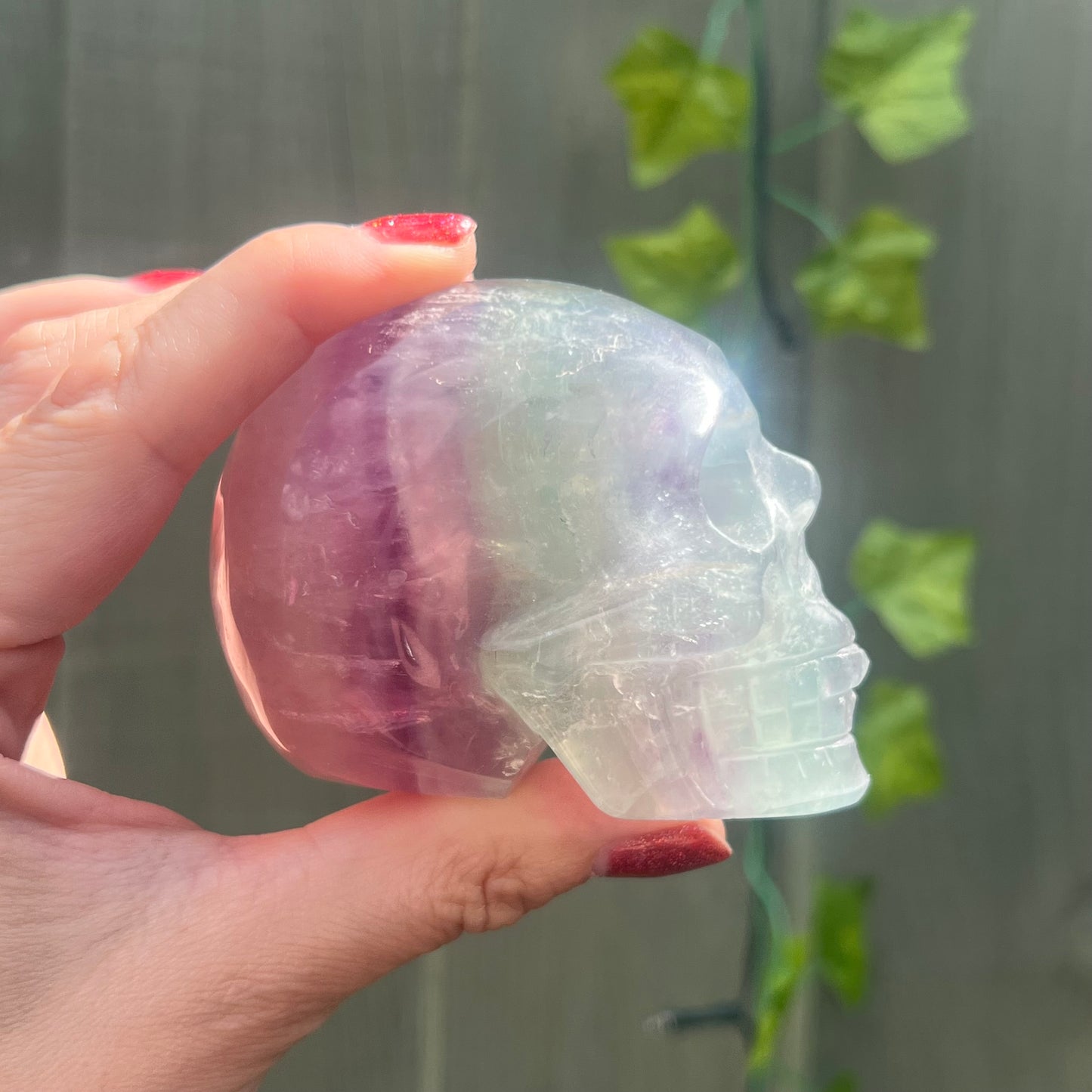 Fluorite Skull