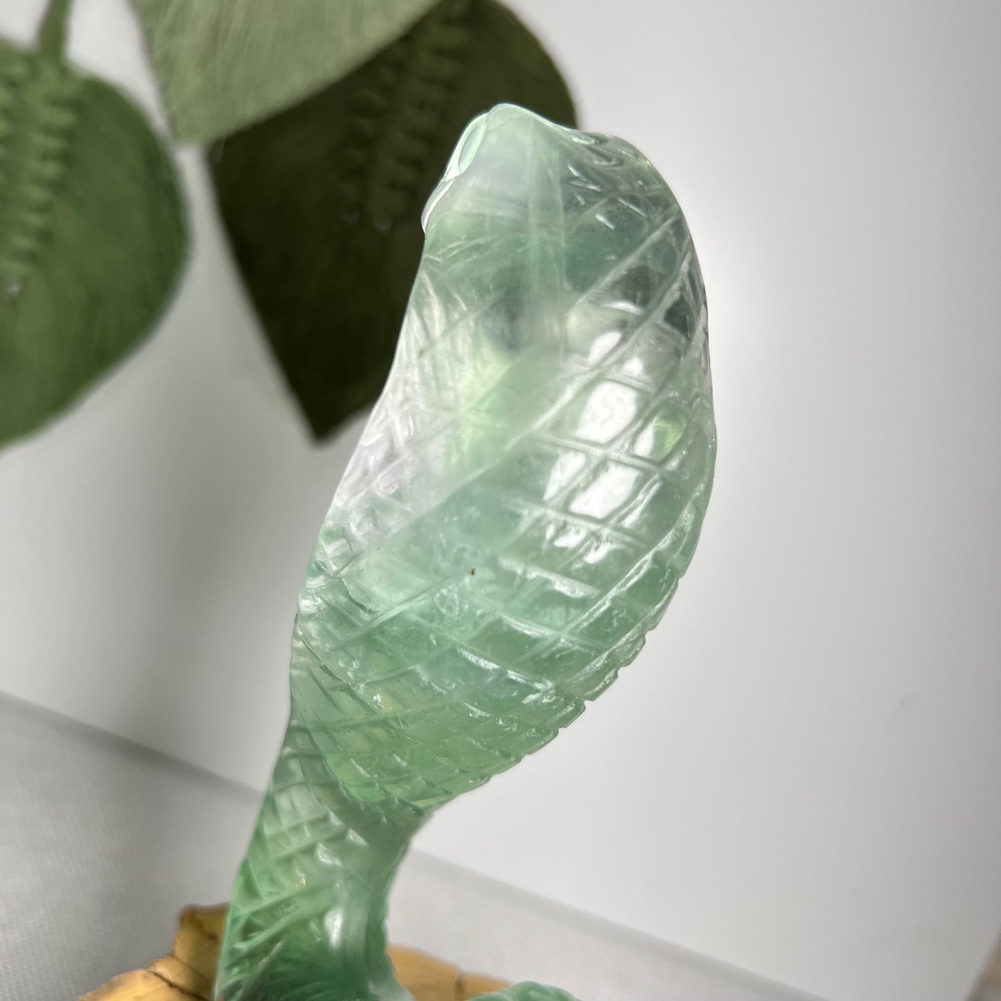 Large Fluorite Cobra Snake