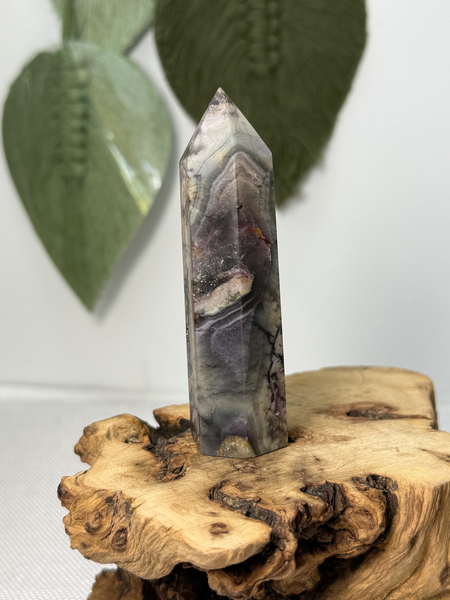 Fluorite Root Point