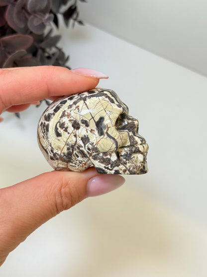 Money Agate Skull