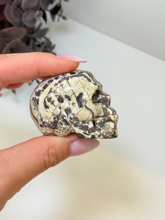 Money Agate Skull