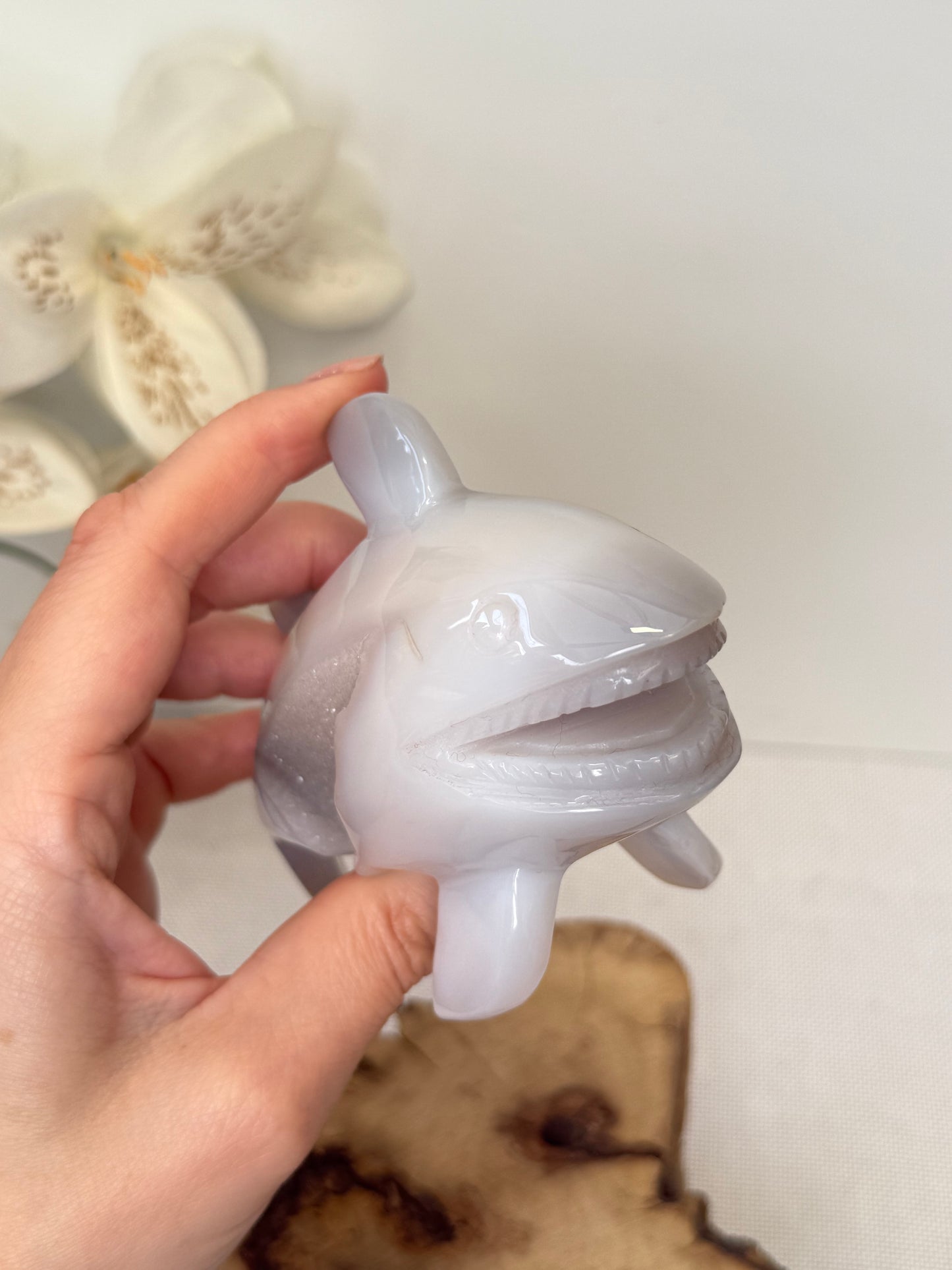 Druzy Agate Shark