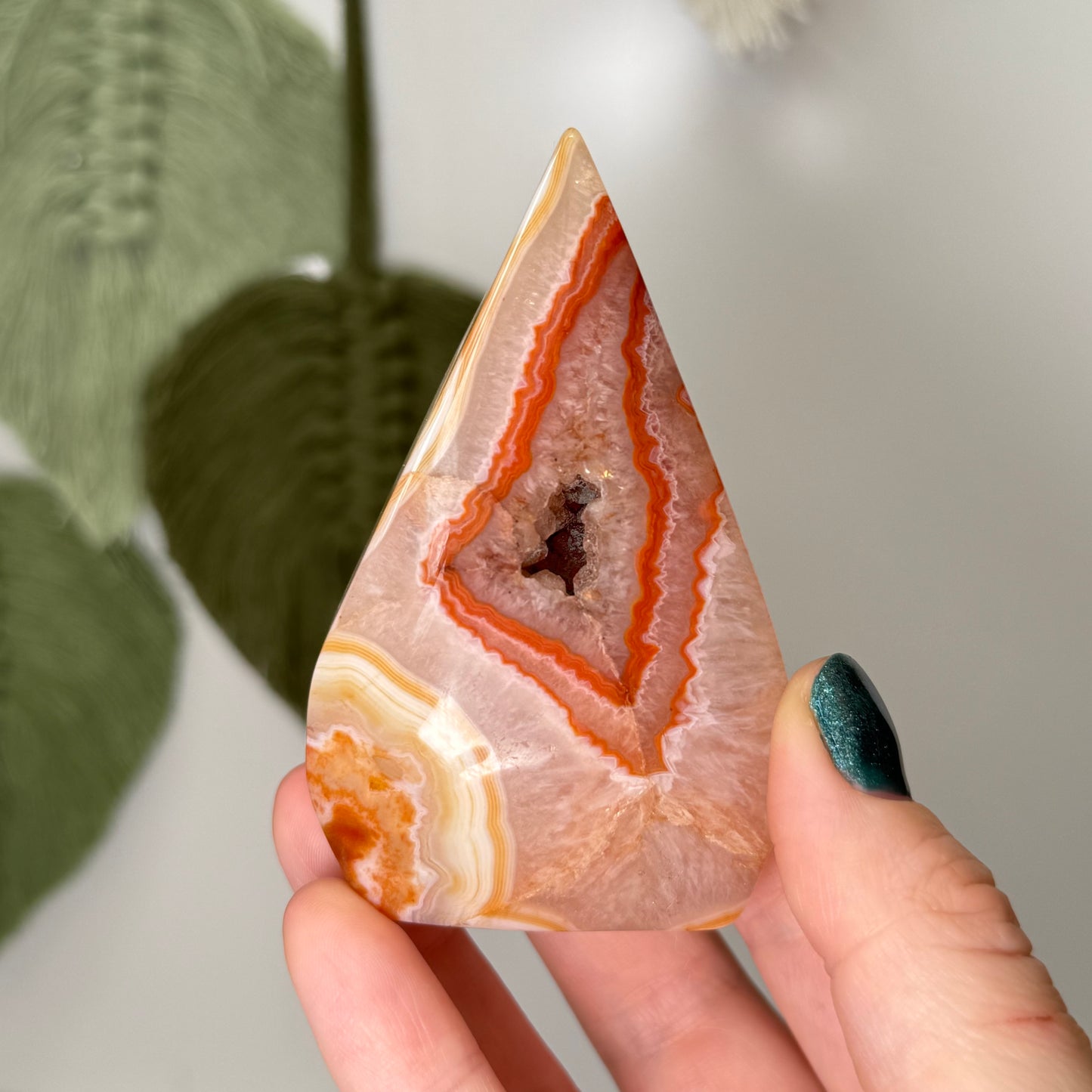 Carnelian Teardrop Freeform