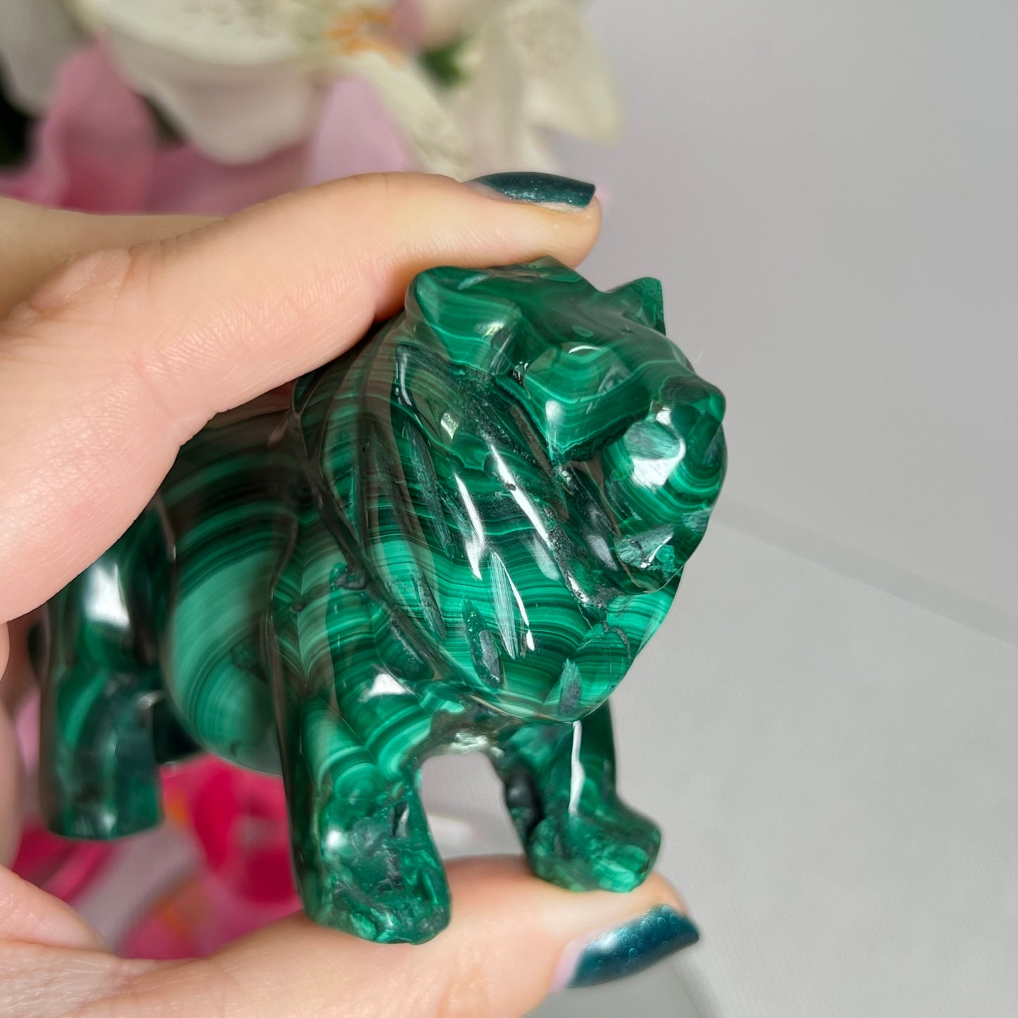 Large Malachite Lion