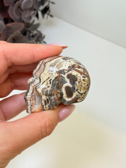 Money Agate Skull