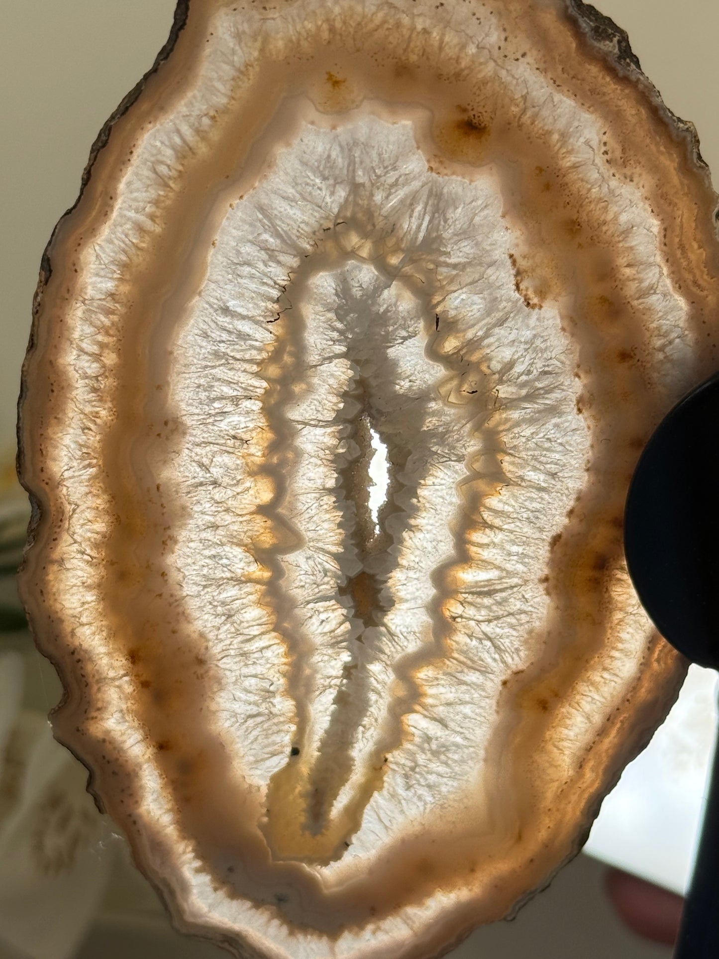 Agate Wings