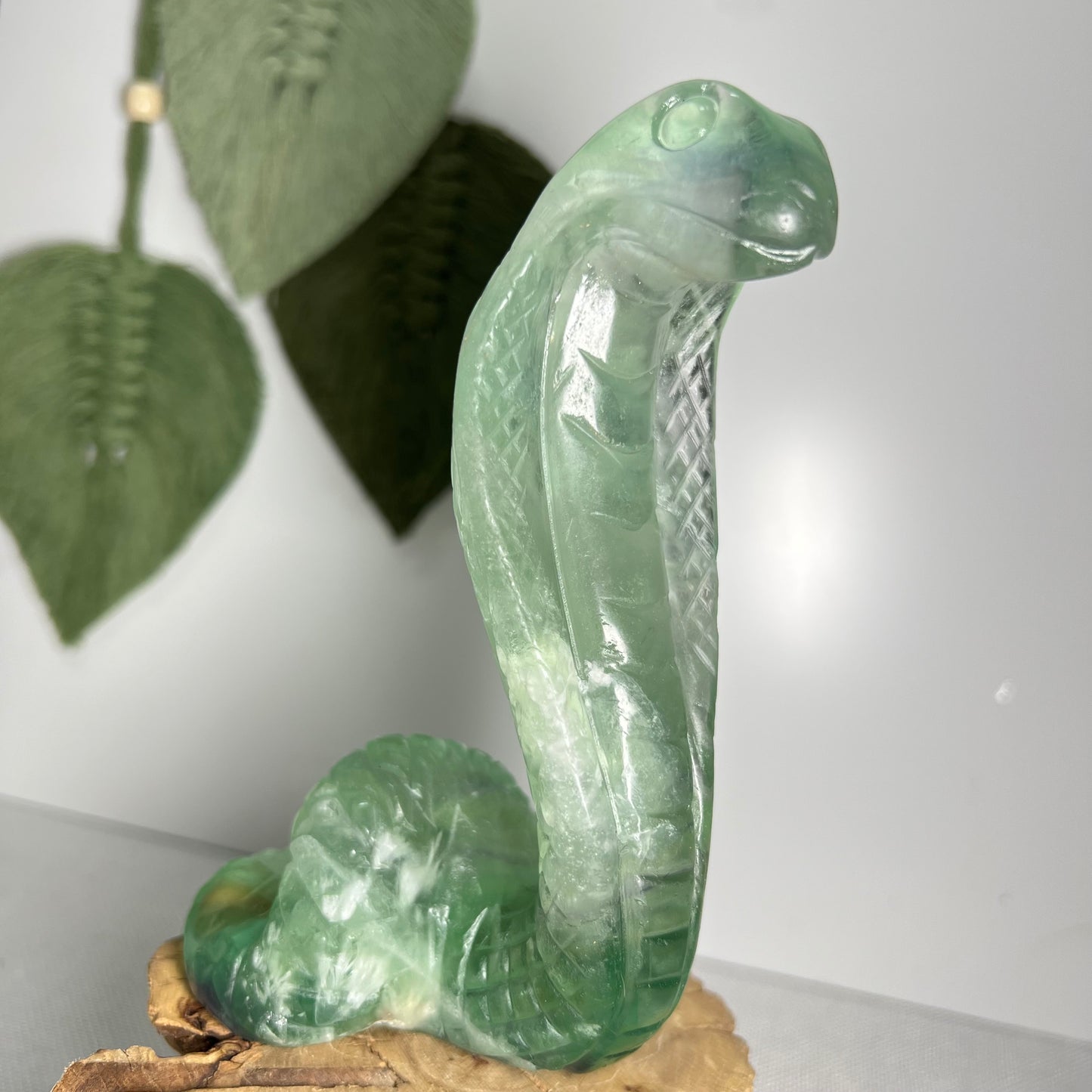 Large Fluorite Cobra Snake