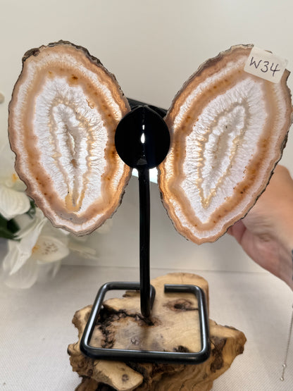 Agate Wings