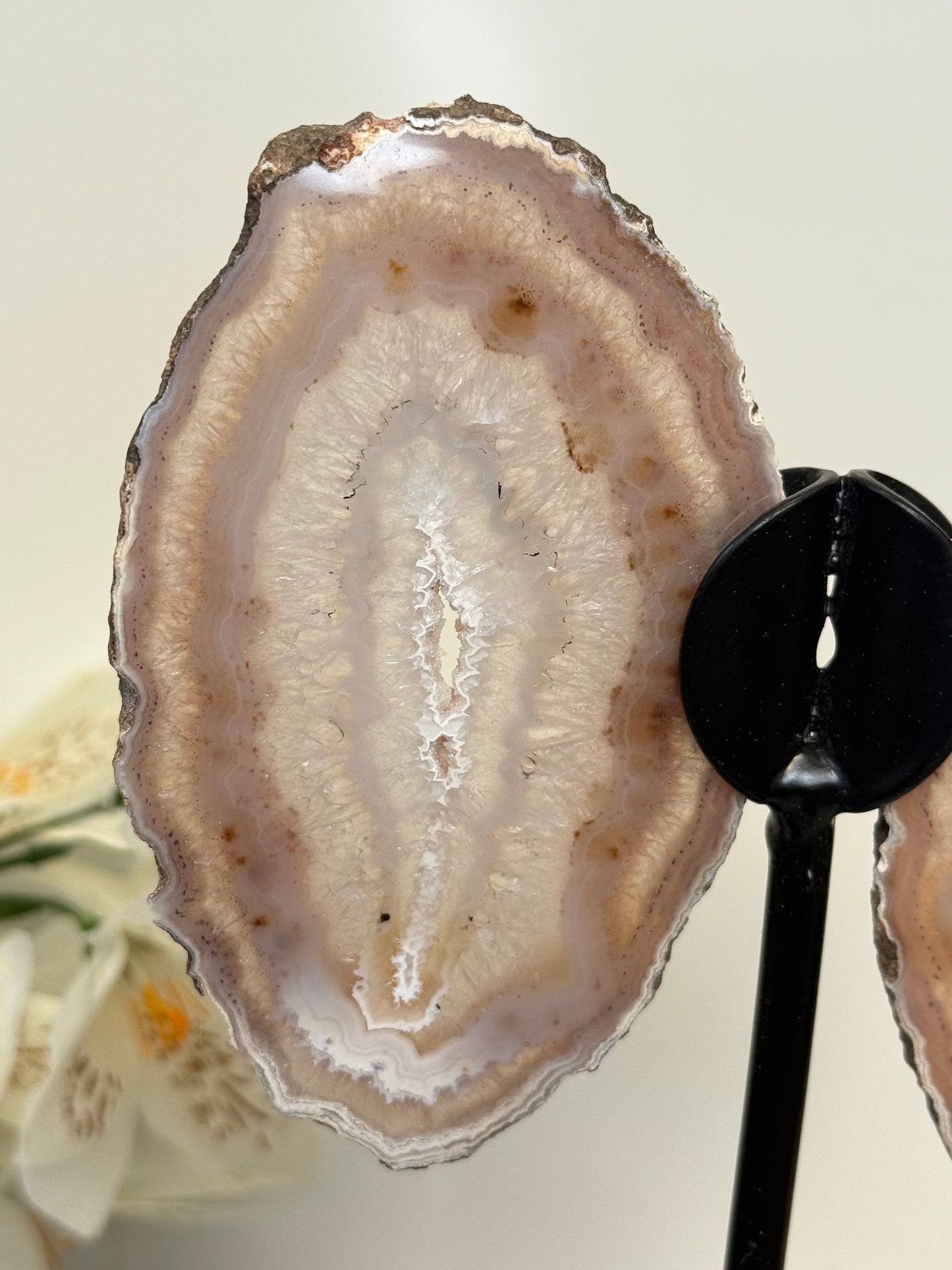 Agate Wings
