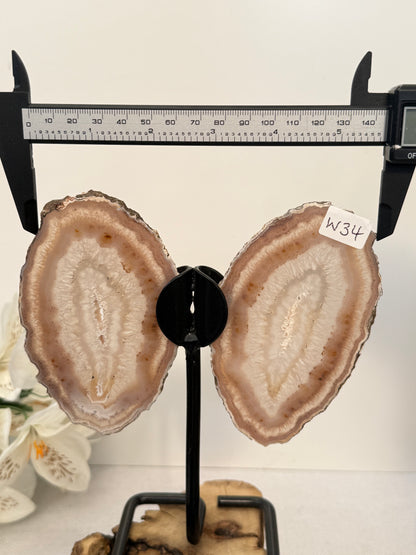 Agate Wings