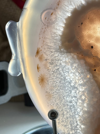 Druzy Agate Fish