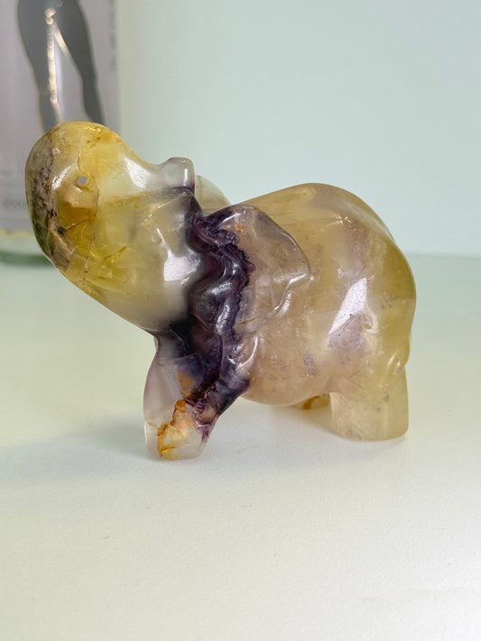 Fluorite Elephant