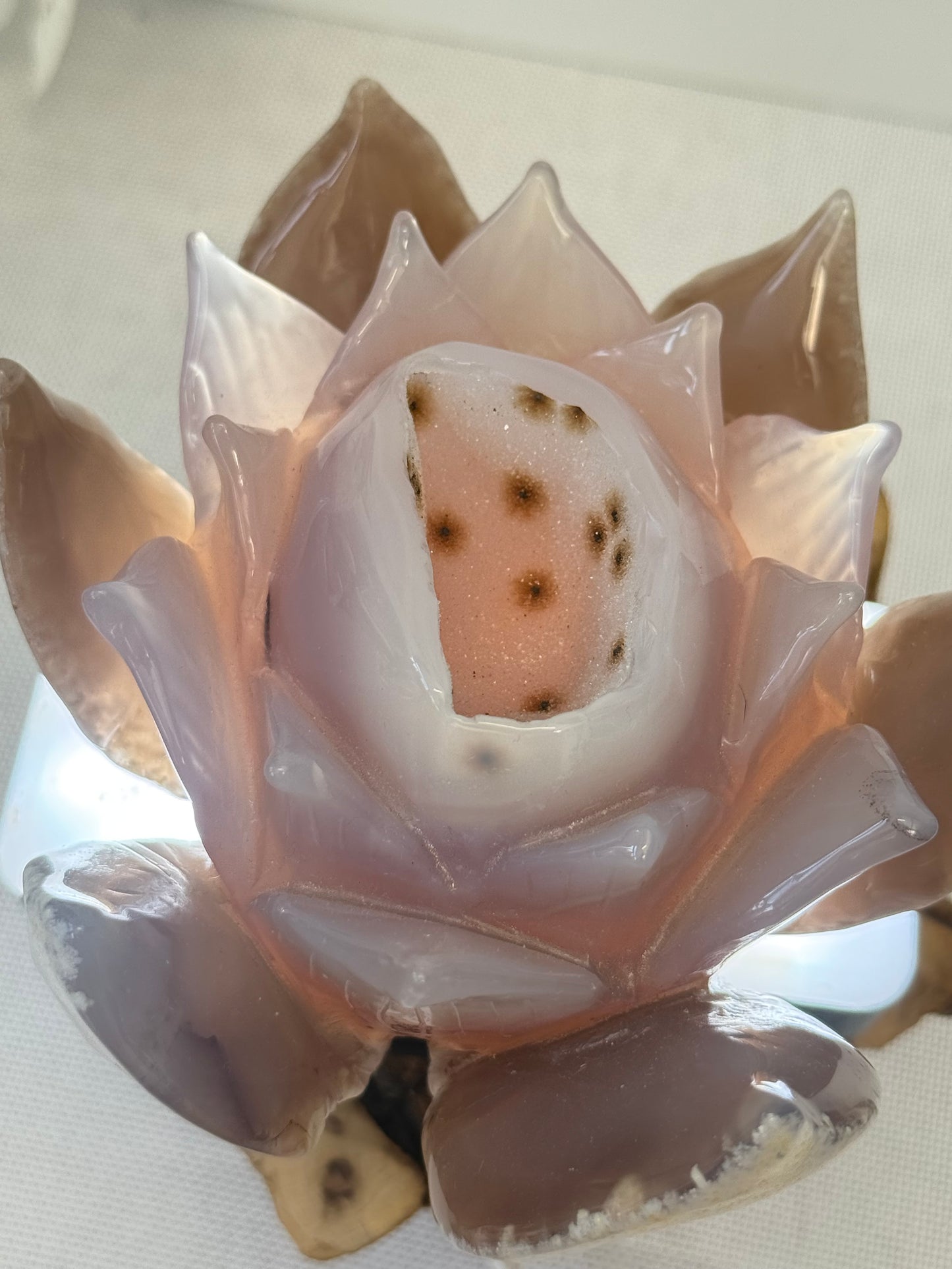 Large Druzy Agate Lotus