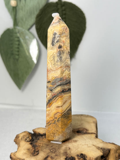 Crazy Lace Agate Point