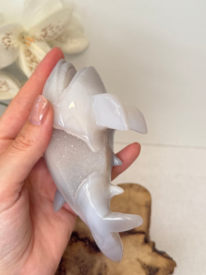 Druzy Agate Shark