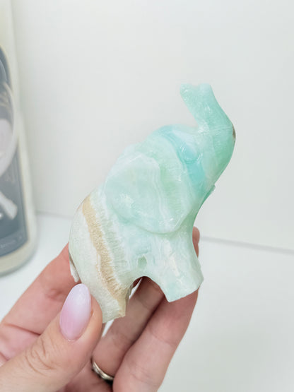 Caribbean Calcite Elephant