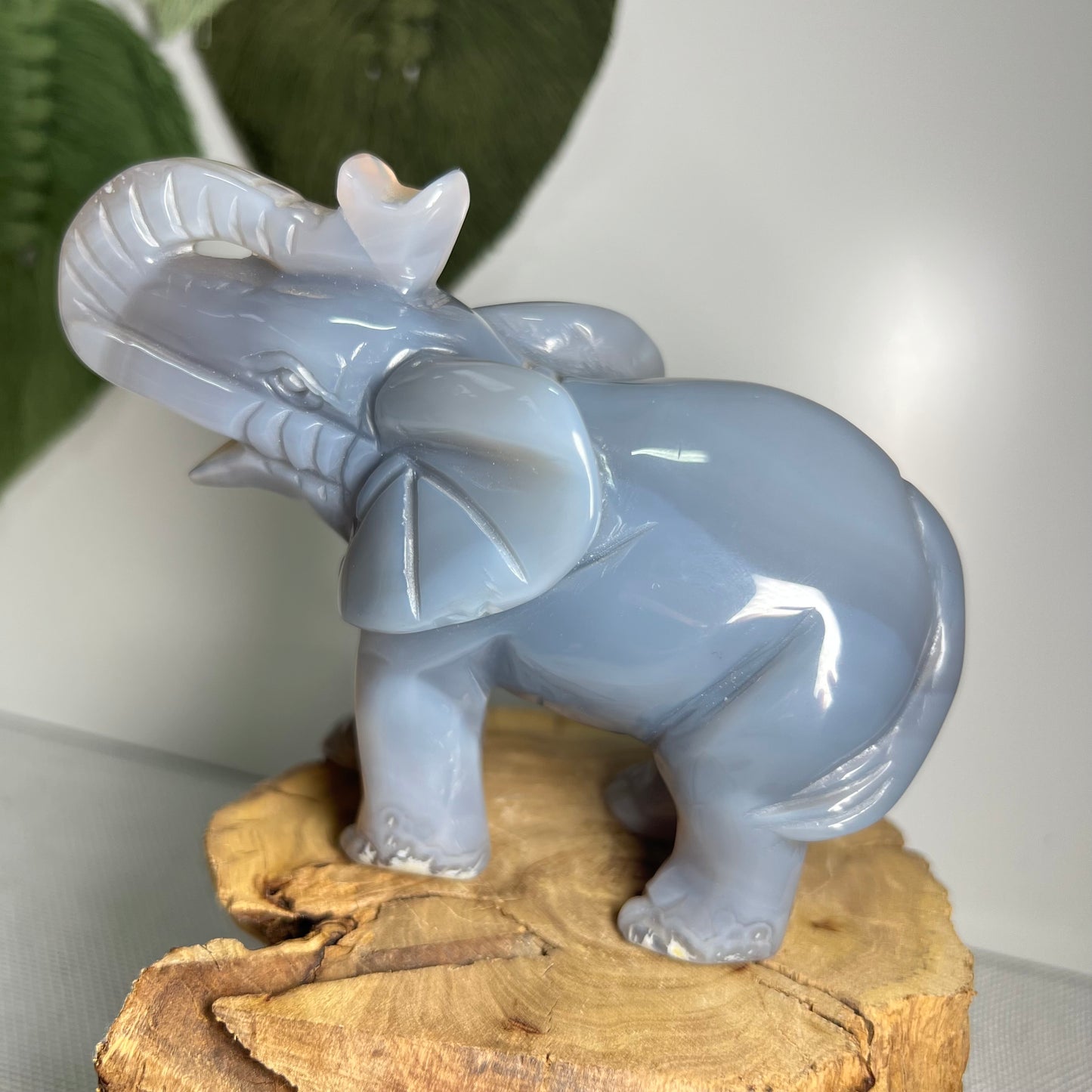 Large Druzy Agate Elephant