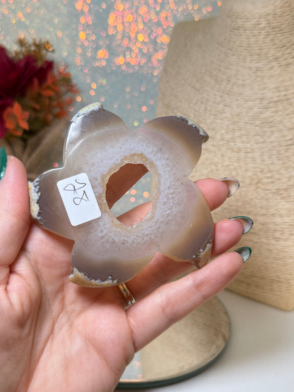 Druzy Agate Starfish