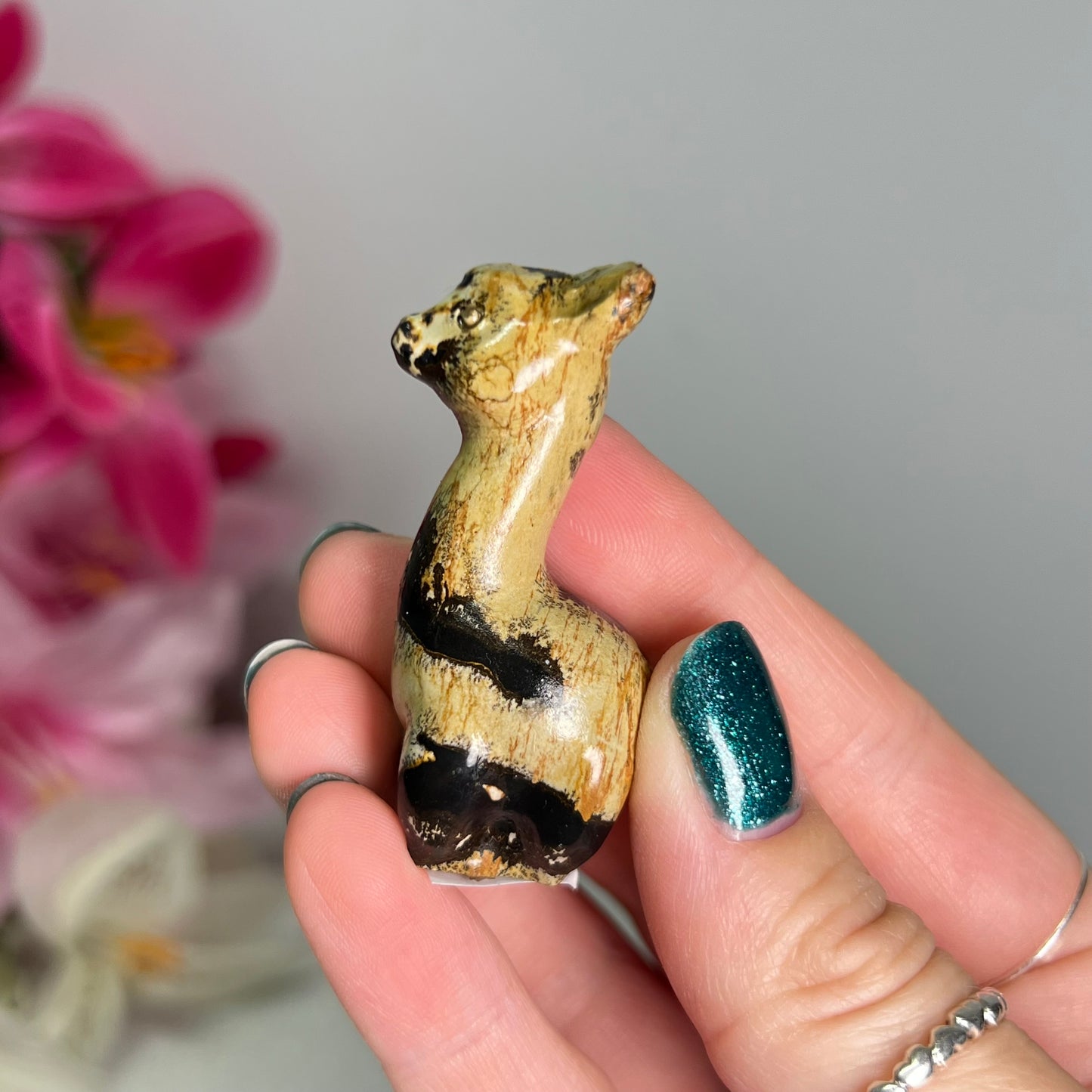 Picture Jasper Llama