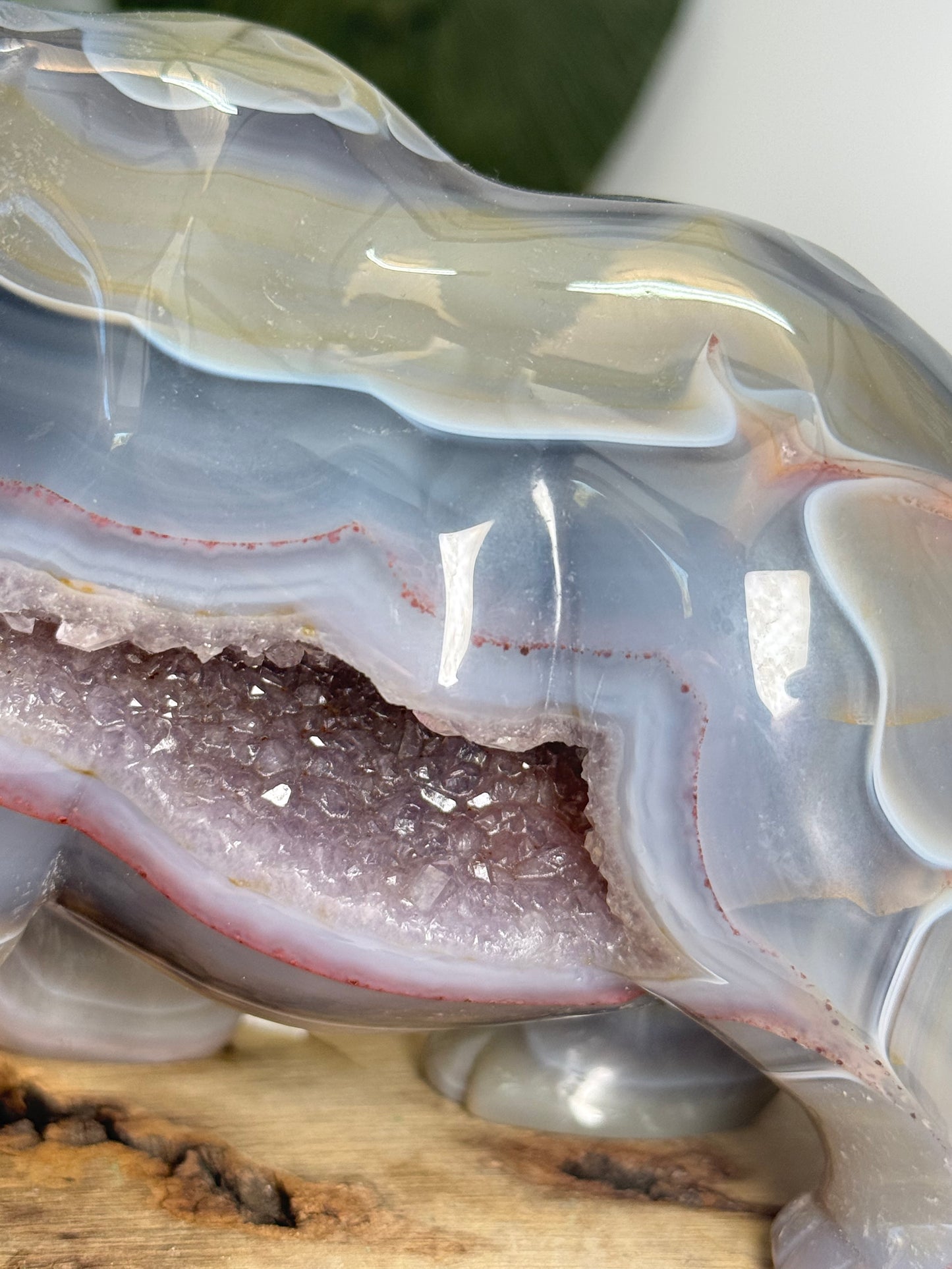 XL Druzy Agate Bear