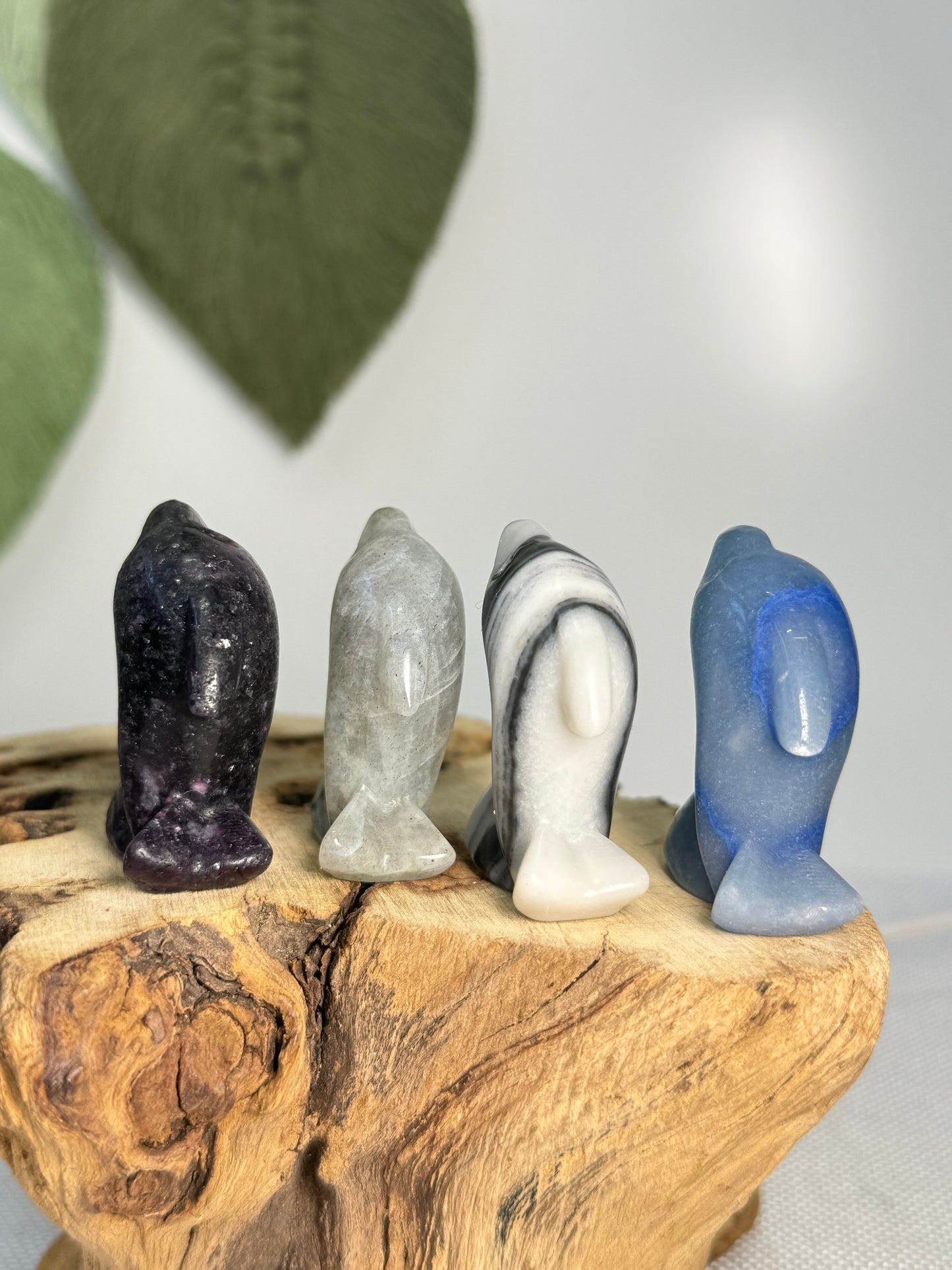 Dolphin Carvings