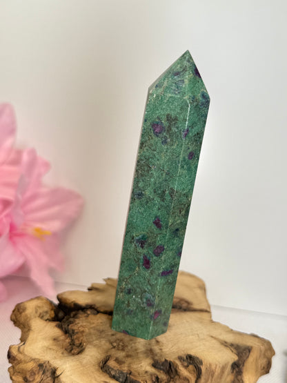 Ruby In Fuschite Point