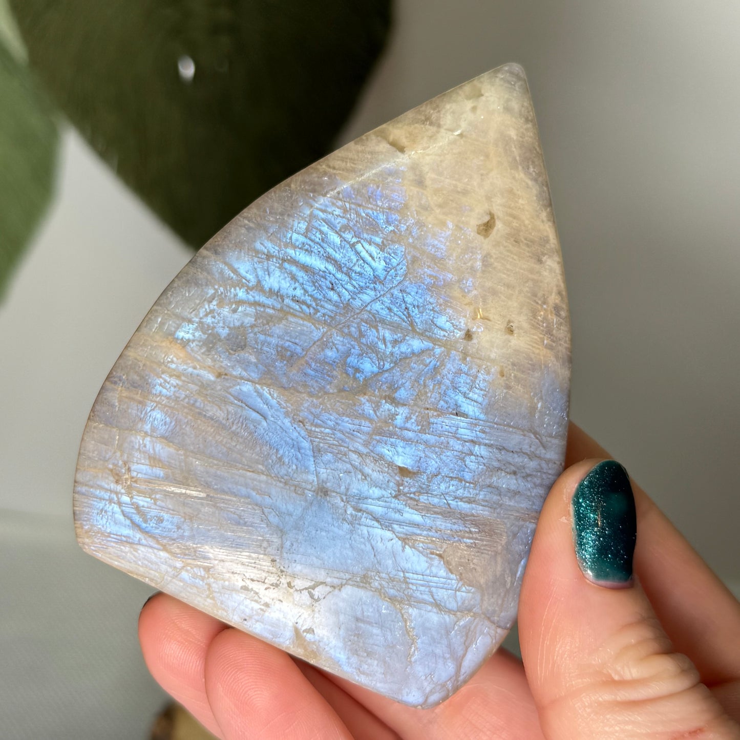 Moonstone Teardrop Freeform