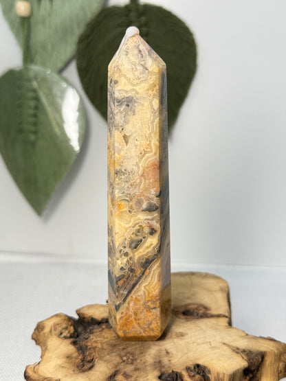 Crazy Lace Agate Point