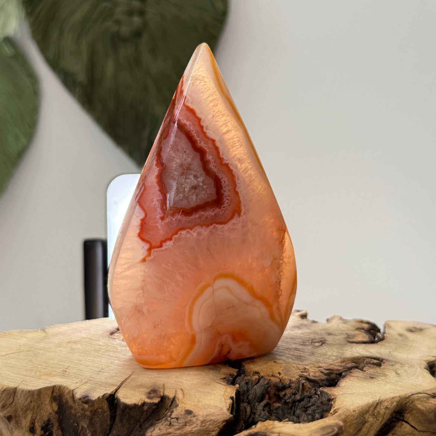 Carnelian Teardrop Freeform