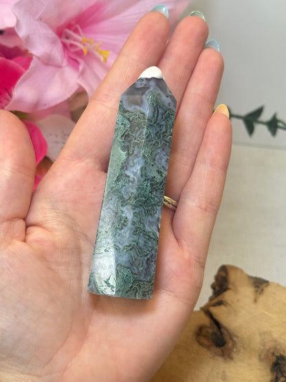 Moss Agate Point
