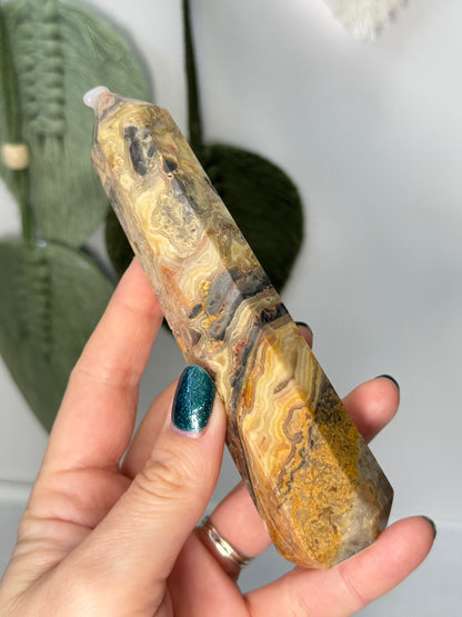 Crazy Lace Agate Point