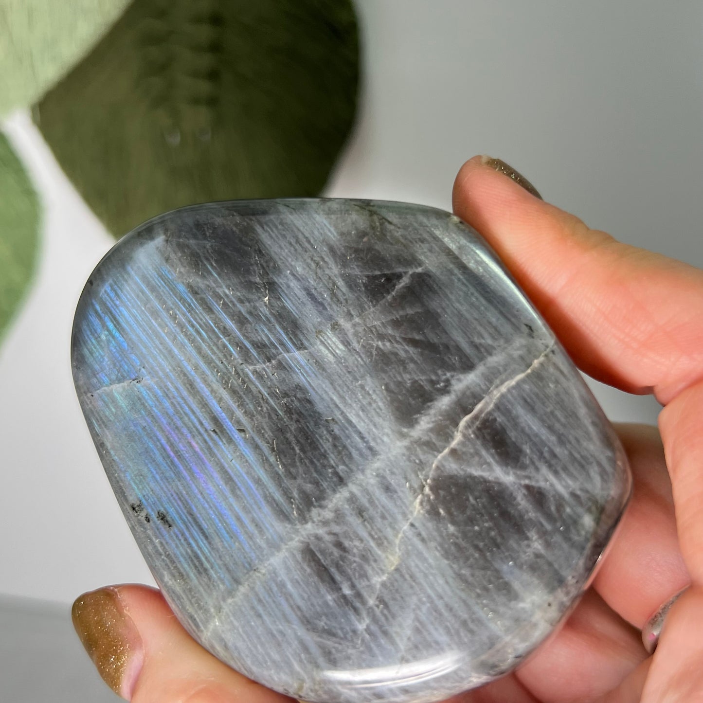 Labradorite Freeform