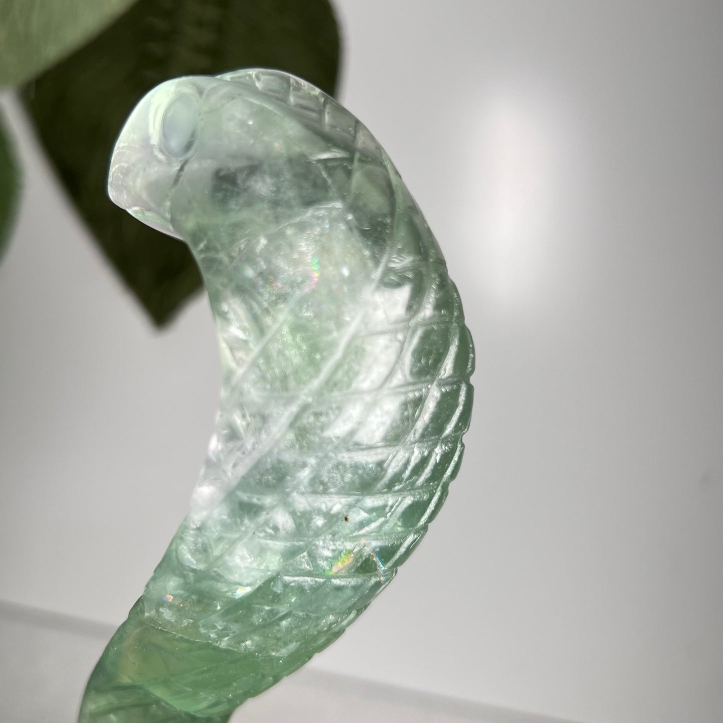 Large Fluorite Cobra Snake